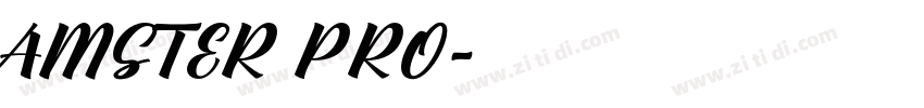 AMSTER PRO字体转换